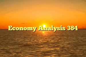 Economy Analysis 384