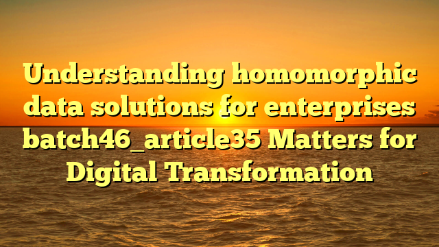 Understanding homomorphic data solutions for enterprises batch46_article35 Matters for Digital Transformation