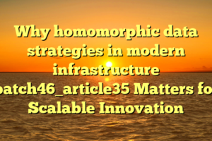 Why homomorphic data strategies in modern infrastructure batch46_article35 Matters for Scalable Innovation