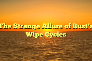 The Strange Allure of Rust’s Wipe Cycles