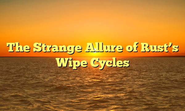 The Strange Allure of Rust’s Wipe Cycles