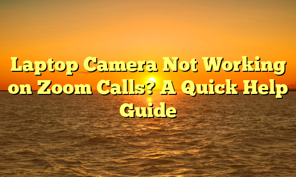 Laptop Camera Not Working on Zoom Calls? A Quick Help Guide